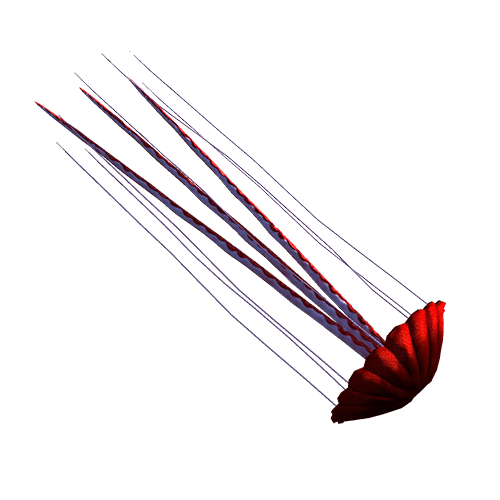NFT_portfolio